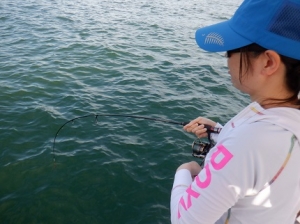 遊漁船 幸友丸 釣果