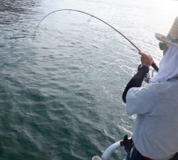 遊漁船 幸友丸 釣果