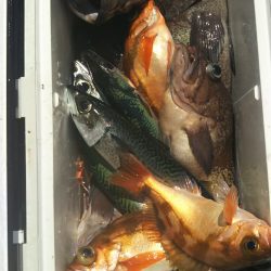 モンロー号 釣果