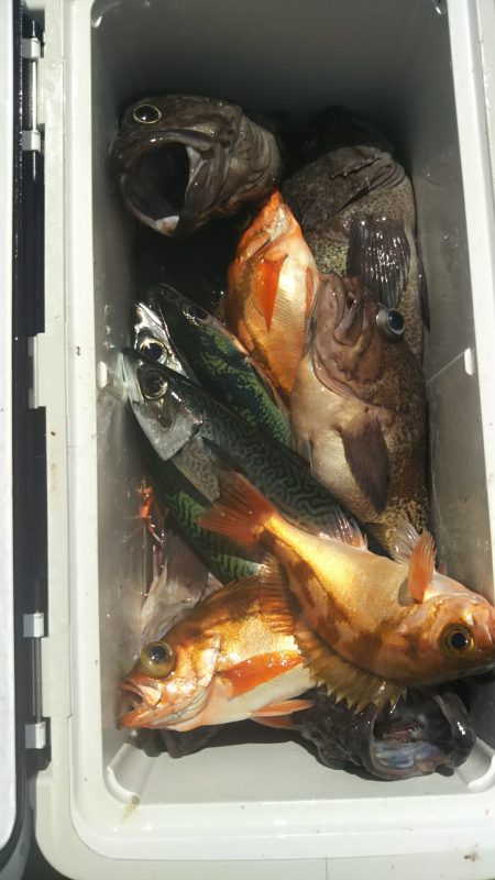 モンロー号 釣果