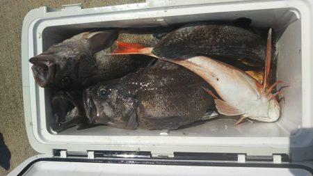 モンロー号 釣果