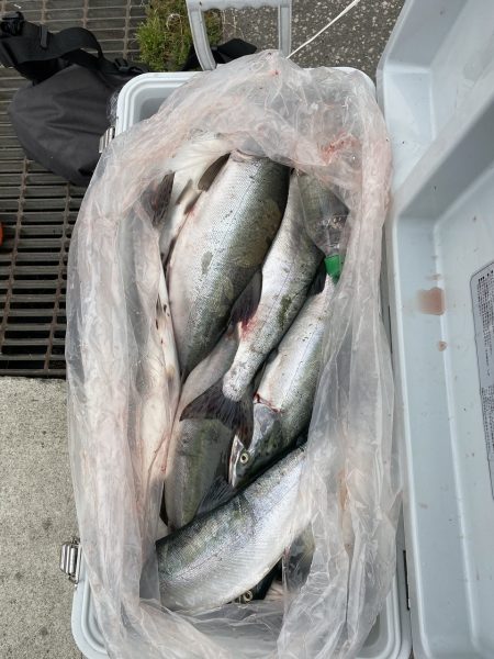 第八平成丸 釣果