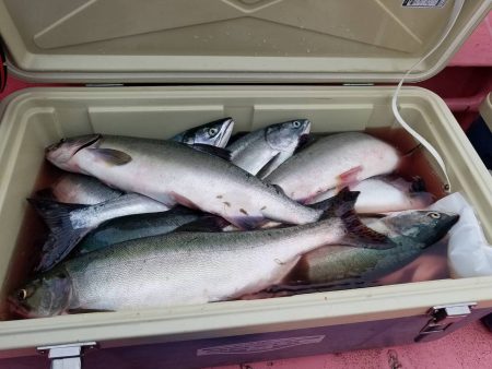 第八平成丸 釣果