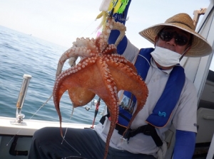 遊漁船 幸友丸 釣果