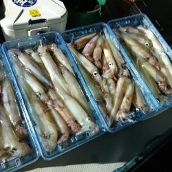 海龍丸（福岡） 釣果