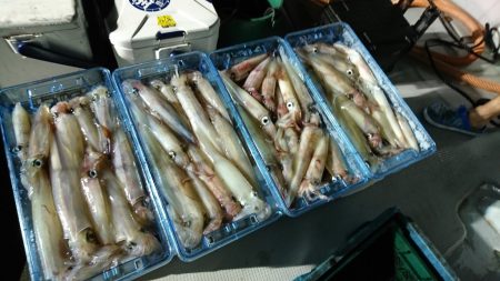 海龍丸（福岡） 釣果