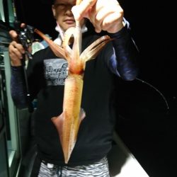 海龍丸（福岡） 釣果