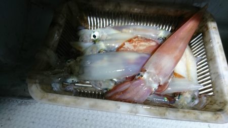 海龍丸（福岡） 釣果