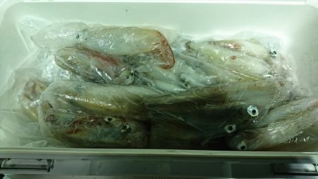 海龍丸（福岡） 釣果