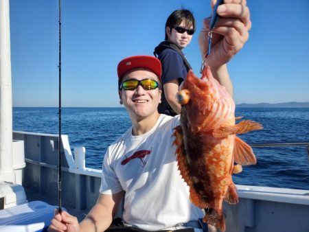 ブルーピア 釣果