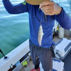 武士(SAMURAI) 釣果