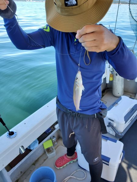 武士(SAMURAI) 釣果