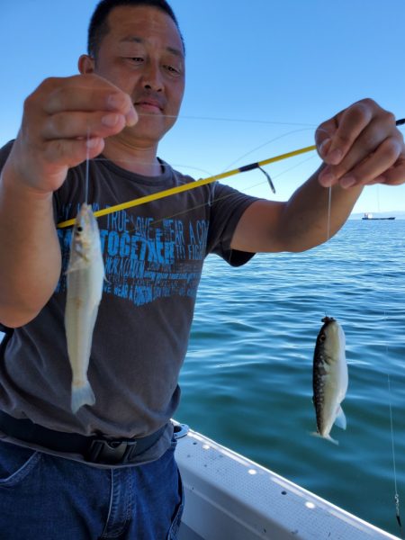 武士(SAMURAI) 釣果