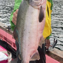 第八平成丸 釣果