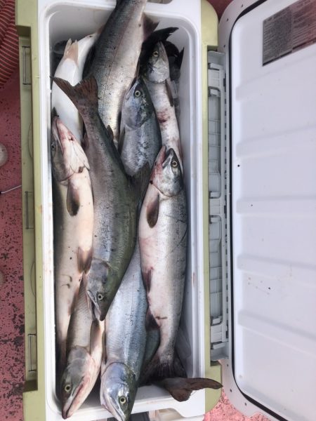 第八平成丸 釣果