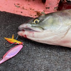 第八平成丸 釣果