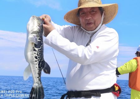ふじしま 釣果