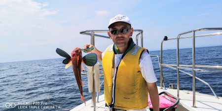 ふじしま 釣果