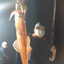 飛燕さくら丸 釣果