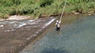 大井川（大井川(非)漁業協同組合） 釣果