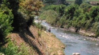 大井川(大井川(非)漁業協同組合) 釣果