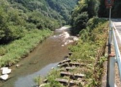 大井川(大井川(非)漁業協同組合) 釣果