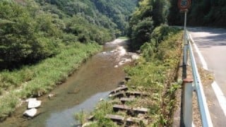 大井川(大井川(非)漁業協同組合) 釣果