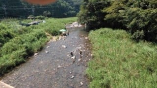 大井川(大井川(非)漁業協同組合) 釣果