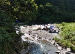 大井川(大井川(非)漁業協同組合) 釣果