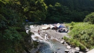 大井川(大井川(非)漁業協同組合) 釣果