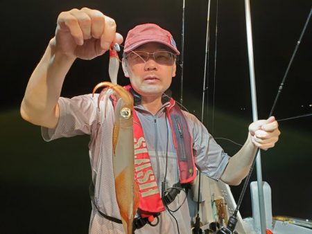 ブルーピア 釣果