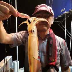 ブルーピア 釣果