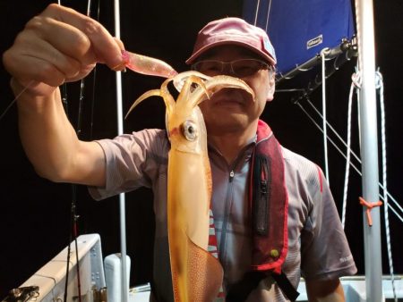 ブルーピア 釣果