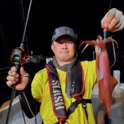 ブルーピア 釣果