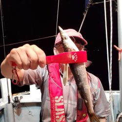 ブルーピア 釣果