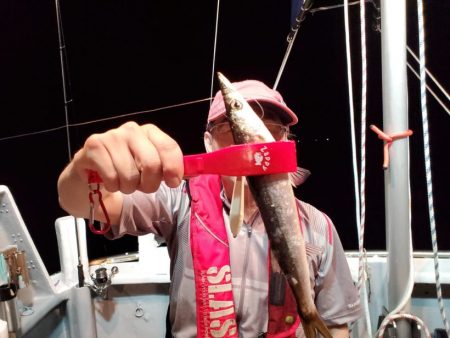 ブルーピア 釣果