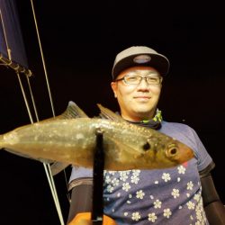 ブルーピア 釣果