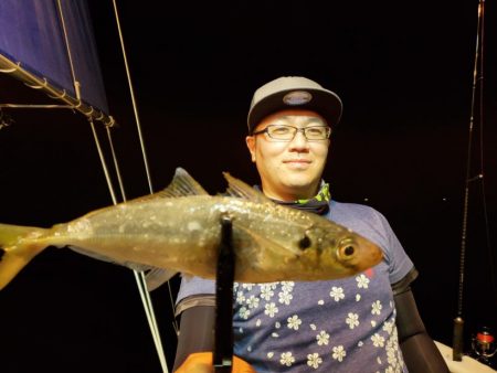 ブルーピア 釣果