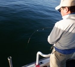 遊漁船 幸友丸 釣果