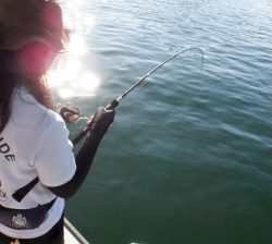 遊漁船 幸友丸 釣果