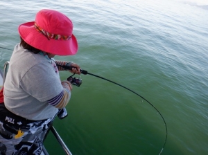 遊漁船 幸友丸 釣果