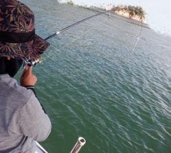 遊漁船 幸友丸 釣果