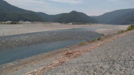 大井川(大井川(非)漁業協同組合) 釣果