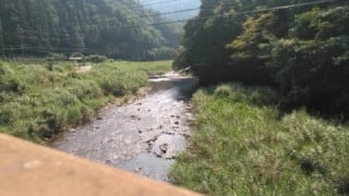 大井川(大井川(非)漁業協同組合) 釣果