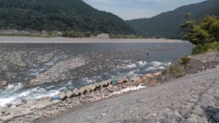 大井川(大井川(非)漁業協同組合) 釣果