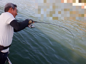 遊漁船 幸友丸 釣果