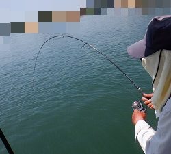 遊漁船 幸友丸 釣果