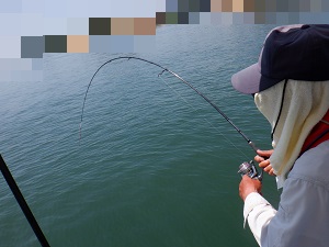 遊漁船 幸友丸 釣果