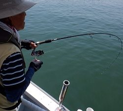 遊漁船 幸友丸 釣果