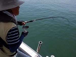 遊漁船 幸友丸 釣果